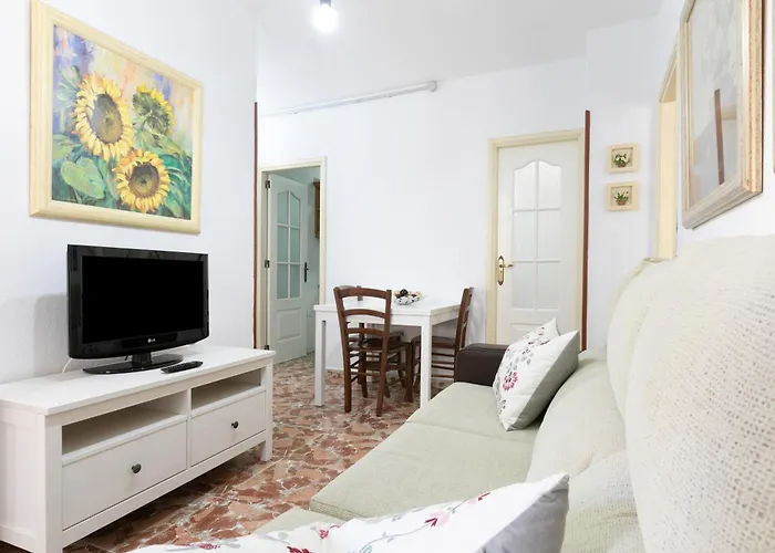 Paloma Los Cristianos (Tenerife)