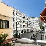 Paloma * Los Cristianos (Tenerife)