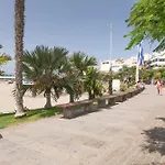 Paloma *