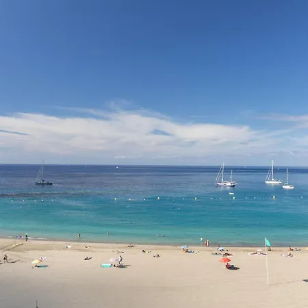 Paloma Los Cristianos (Tenerife)