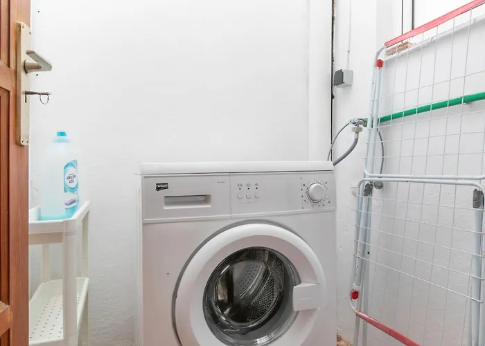 Paloma * 로스크리스티아노스